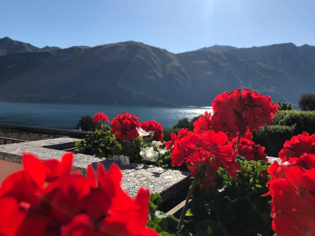 Angelina'S House With Lake View - Bellagio Kültér fotó